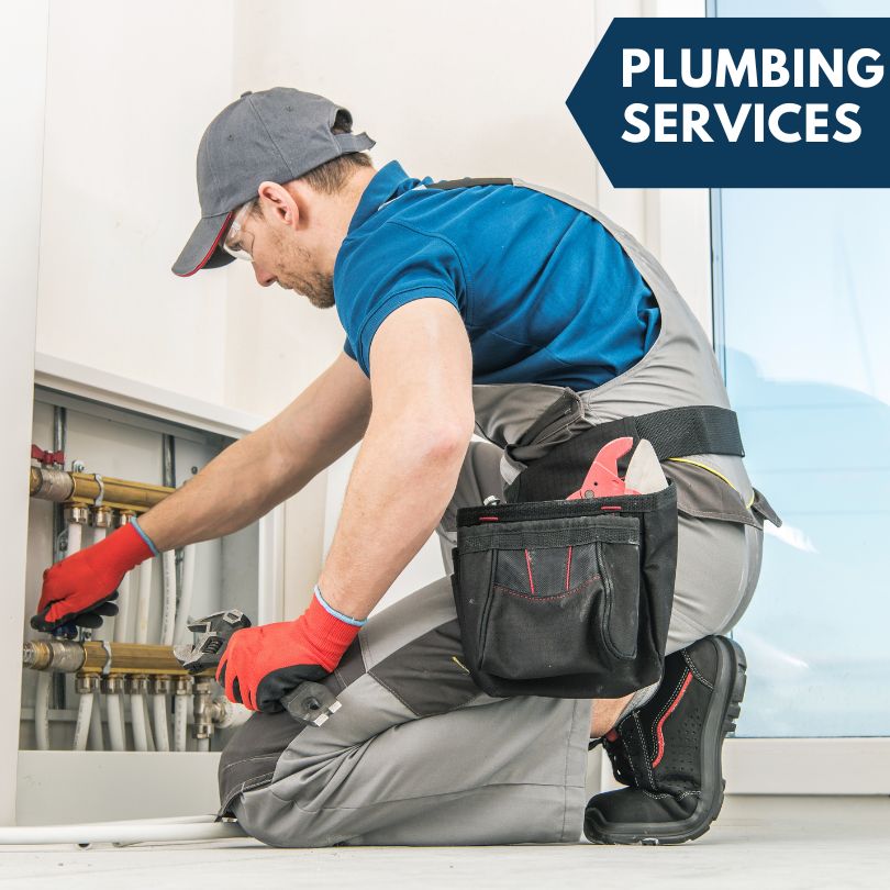 Lamont Plumbing Company